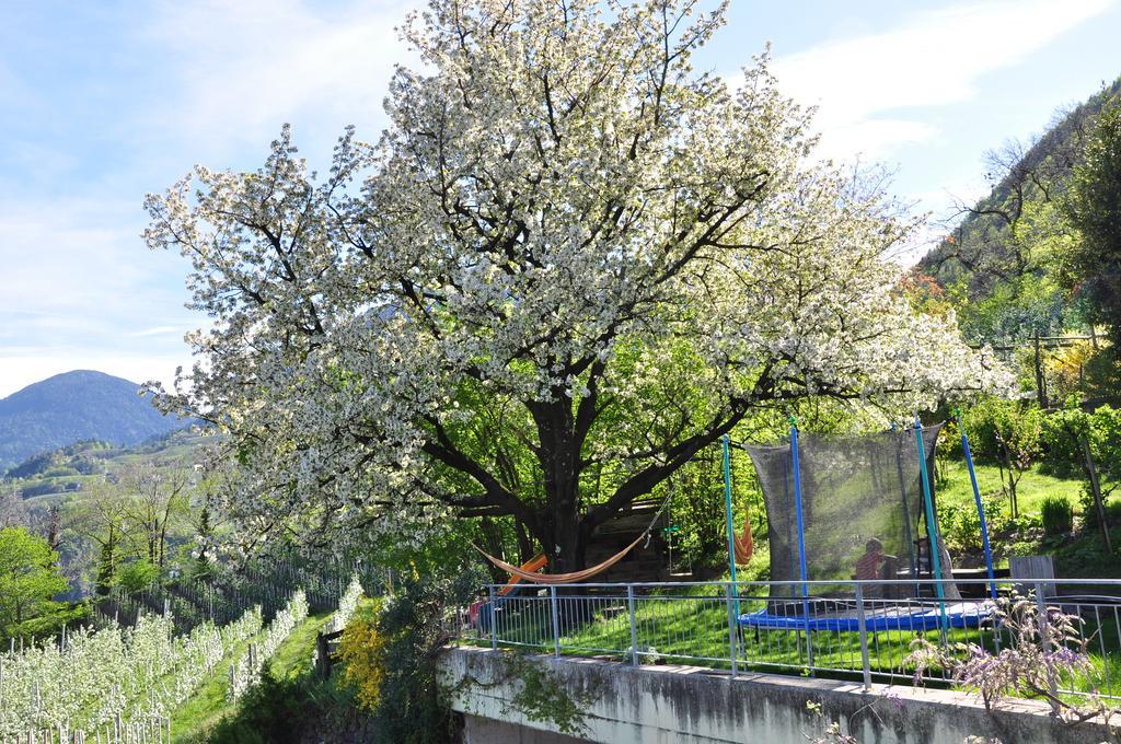 Apartment Unterbrunnerhof *