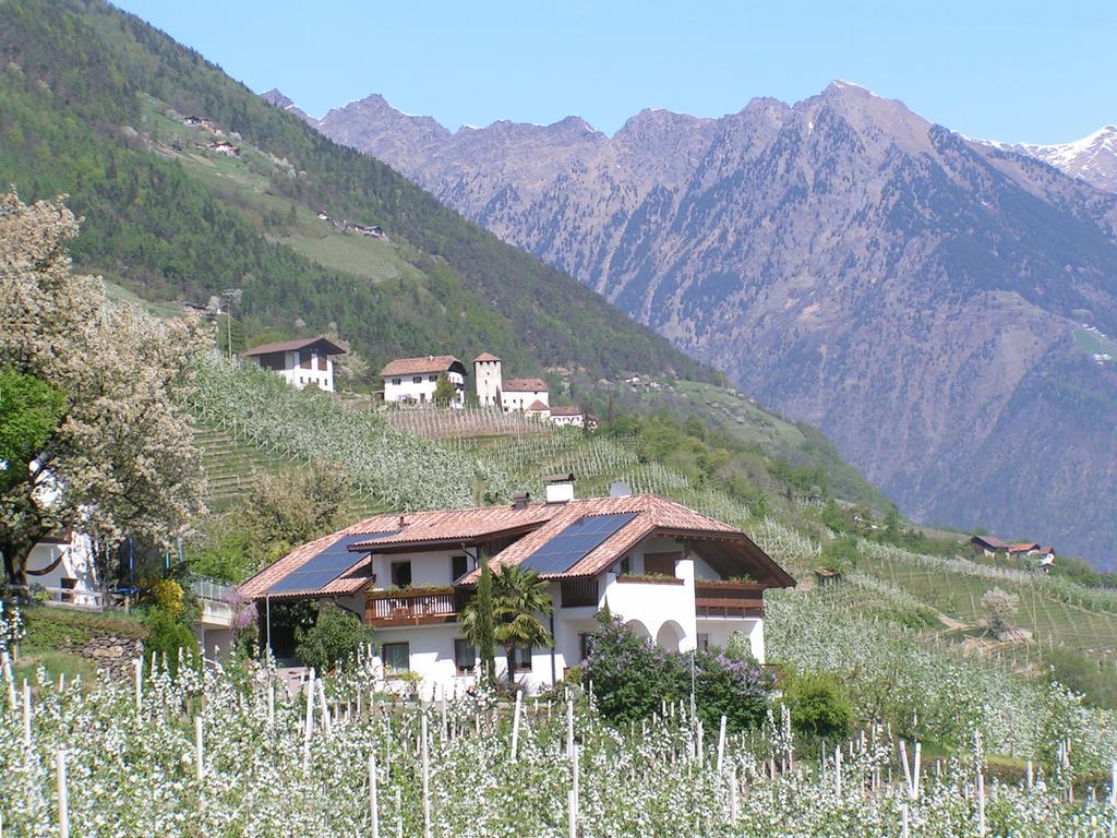 Unterbrunnerhof Apartment *